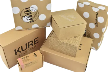 Ekspreslevering Kasser i Zwijnaarde BE